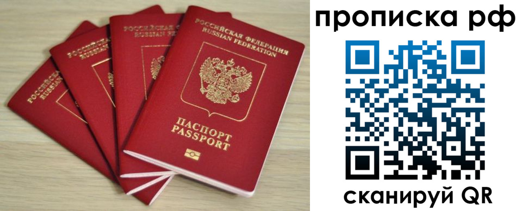 временная регистрация гарантия в Курской области
